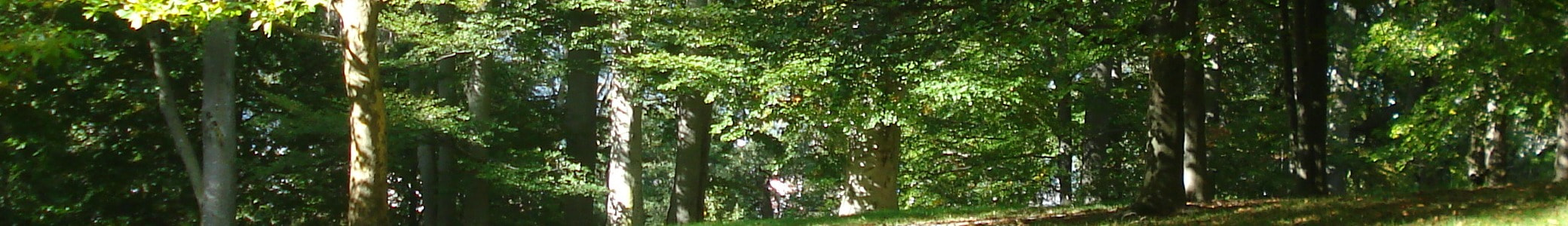 Dorfverschönerungsverein Schwerfen e.V.